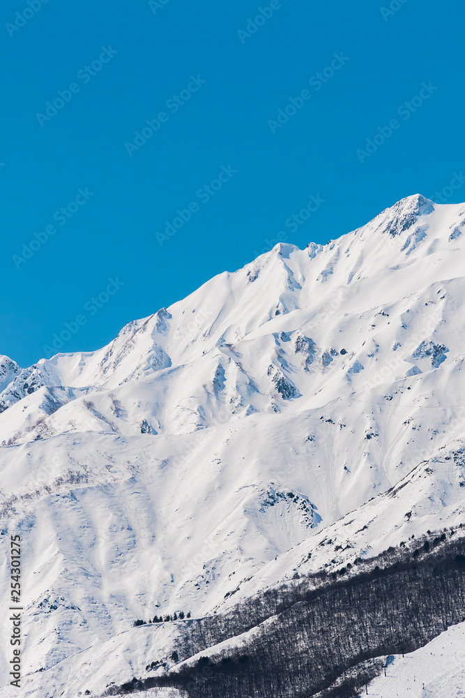 白馬村の雪山と青空の雪景色