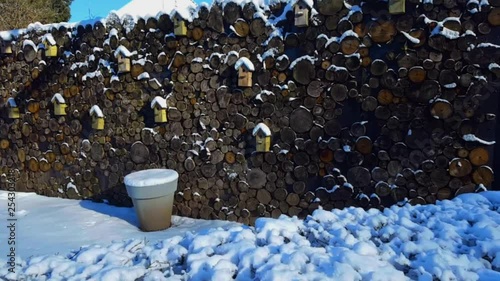 BirdHouses Built in a Wall - Sunny Winter Day photo