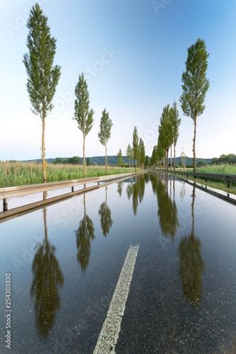 Flood, flooded road, alley between Radolfzell and Hoeri, Lake Constance county, Baden-Wurttemberg, Germany, Europe photo