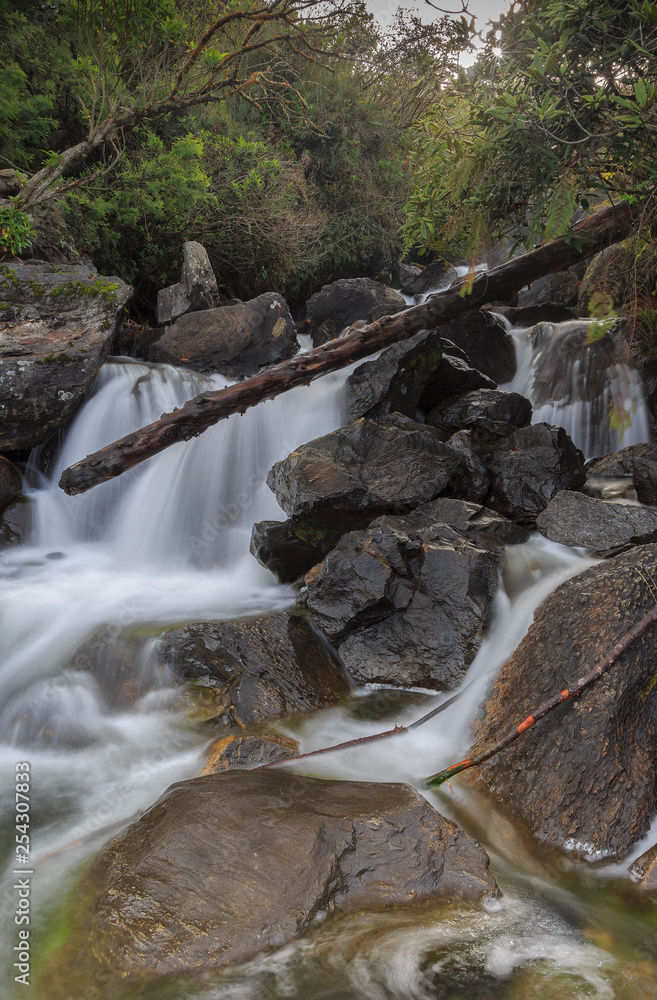 Fototapeta premium La Victoria River, Sierra Nevada National Park, Mérida - Venezuela