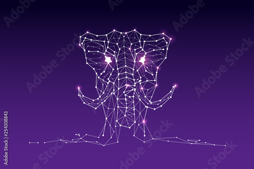 The particles, geometric art, line and dot of elephant