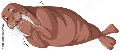 A walrus character on white background