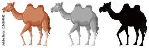 Valokuva Set of camel character