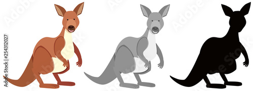 Set of kangaroo character