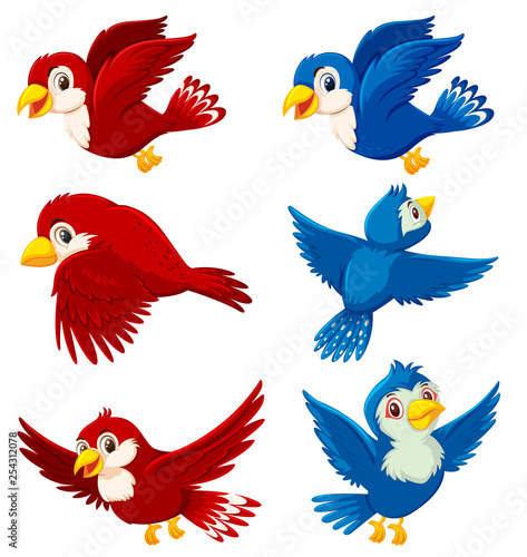 Set of bird character