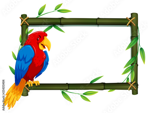 Parrot on bamboo frame
