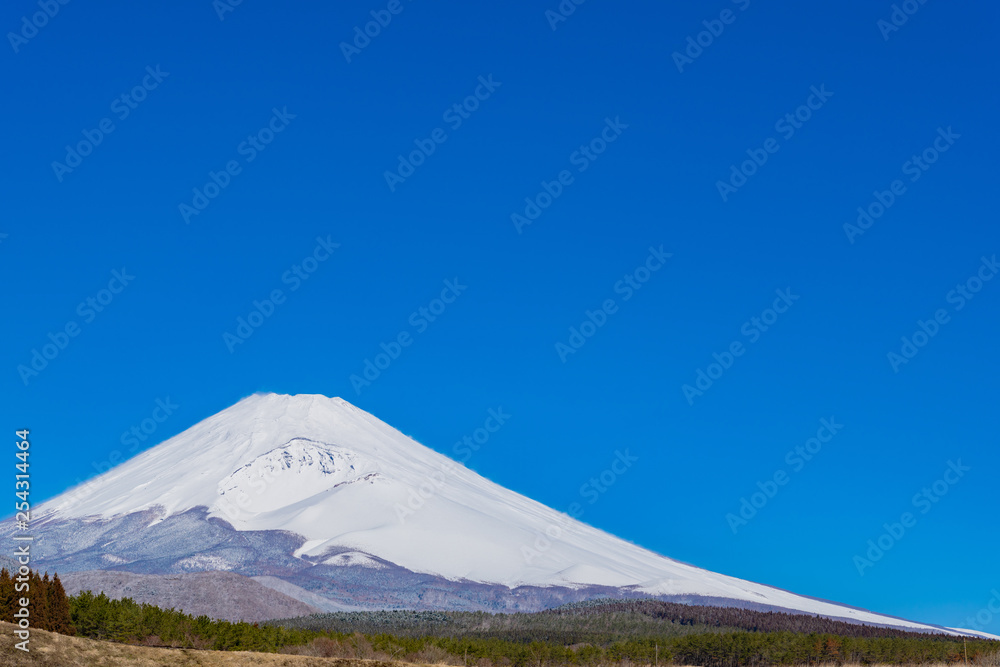 Fototapeta premium 初春の富士山