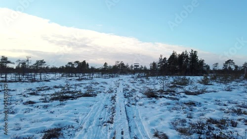 Wallpaper Mural Footage of Frozen forest and swamp in Lapland Finland Lappi! Torontodigital.ca