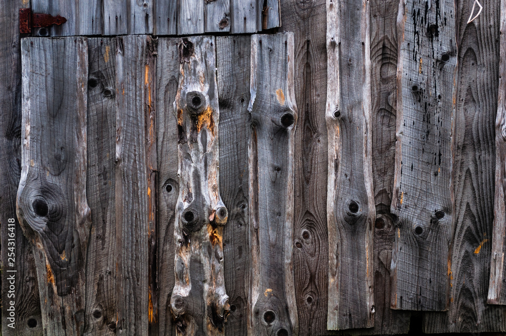 A wall made of old, darkened, frayed gray wooden knotty planks. A wall made of old, darkened, frayed gray wooden knotty planks.