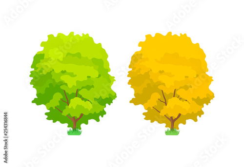 Cartoon colorful trees. Cute woody plants, green, yellow oak trees.