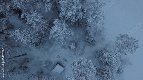 The frozen lake and forest near Borgvattnet, Sweden. Filmed with a drone during the day. photo