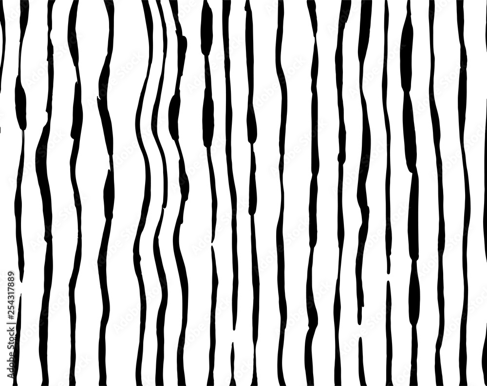 Fototapeta premium Brush grunge pattern. White and black vector.