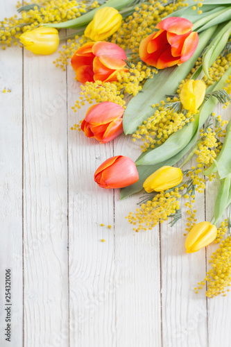 tulips and mimosa on white wooden background