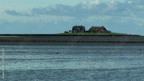 Low Tide on Holm Hooge at the North Sea, Germany. photo