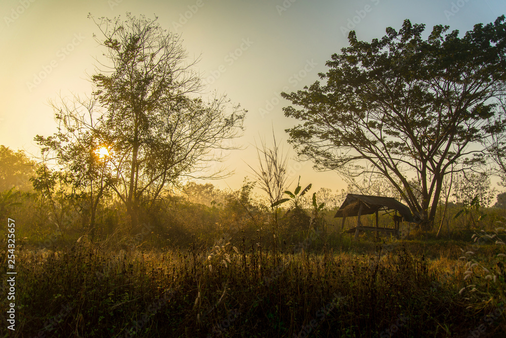 Landscape countryside shed on grass field sunrise shine tree rural agriculture farm