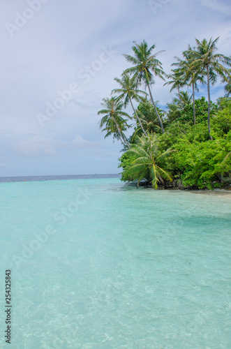 Fototapeta Naklejka Na Ścianę i Meble -  Palm tree landscape over turquoise water the island of Maldives