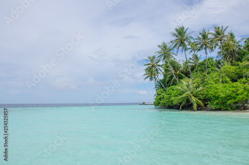 Palm tree landscape over turquoise water the island of Maldives