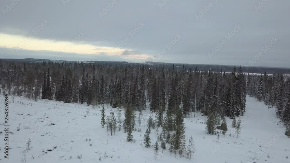 The frozen forest near Kuusamo in Lapland, Finland. Aerial shots during a mid winter day. The frozen forest near Kuusamo in Lapland, Finland. Aerial shots during a mid winter day.