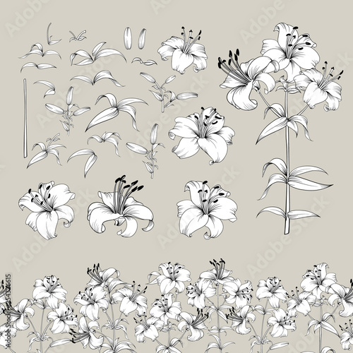 Collection of lily flowers elements. Awesome set for designers. Blossom jungle flower bundle. Black flowers of lilies isolated over gray. Flowers contours collection. Vector illustration.