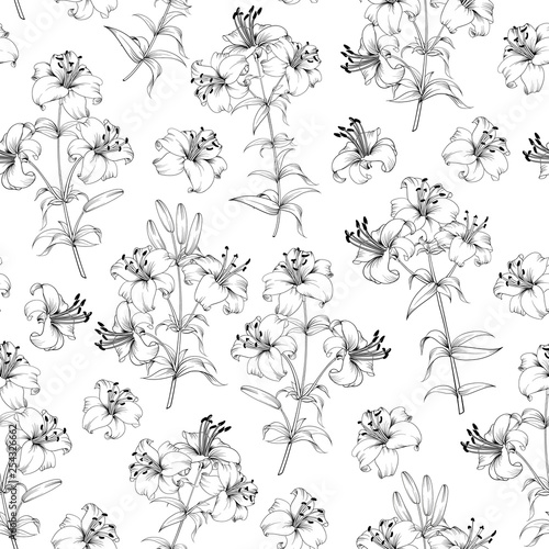 Seamless Pattern of lily flowers. Floral background with blooming lilies isolated on white background. Seamless pattern with blooming lilies. Vector illustration.