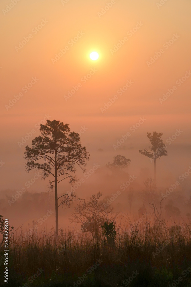 The natural landscape of mountains with misty and sunrise The natural landscape of mountains with misty and sunrise