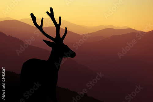 Deer silhouette on mountains background