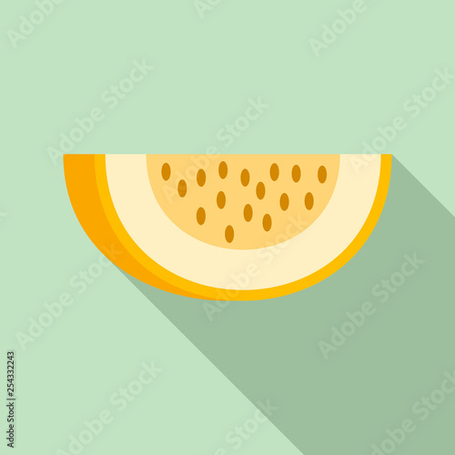 Piece of melon icon. Flat illustration of piece of melon vector icon for web design