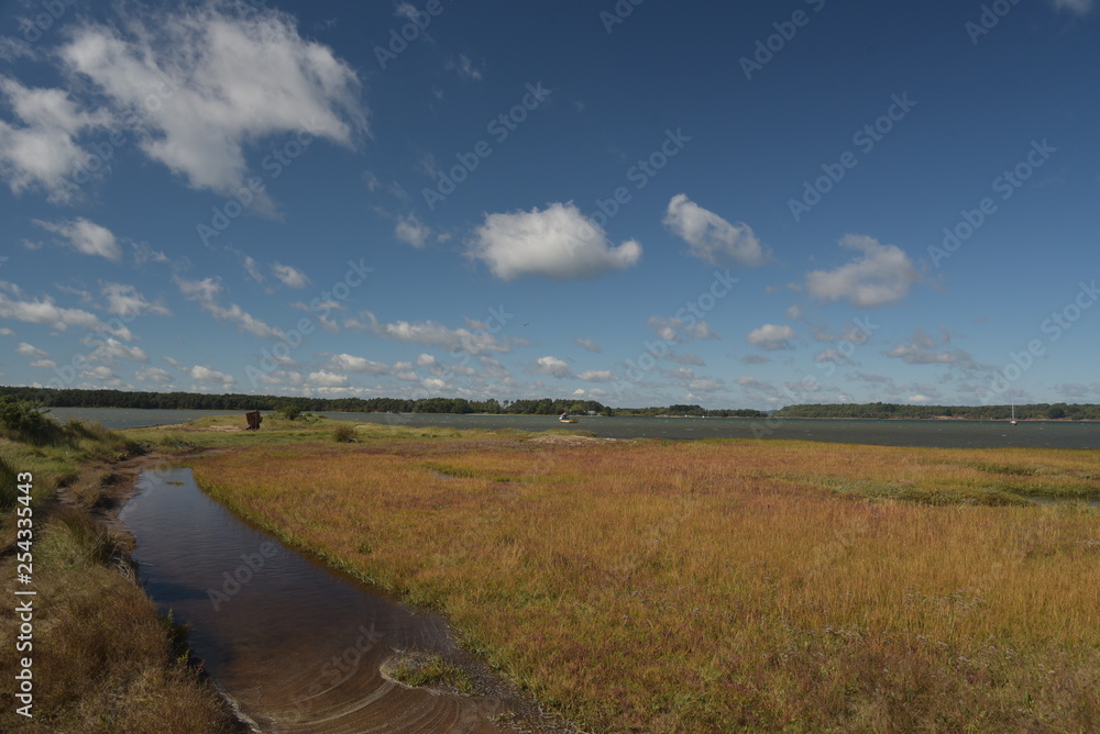 Shores of Poole harbour from Studland Heath near Swanage on Dorset Coast