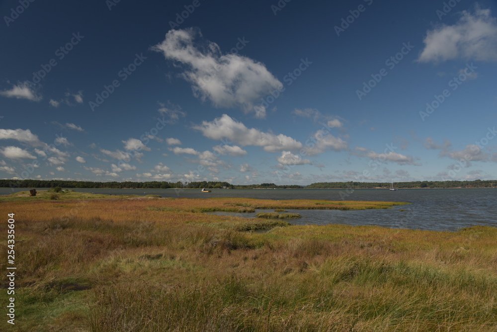 Shores of Poole harbour from Studland Heath near Swanage on Dorset Coast Shores of Poole harbour from Studland Heath near Swanage on Dorset Coast