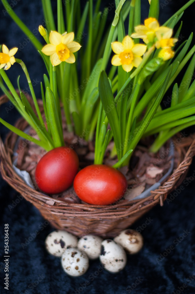 Quail and dyed eggs, wicker basket Quail and dyed eggs, wicker basket