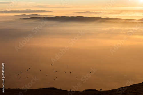 Flock of birds flying over a sea of mist at sunset