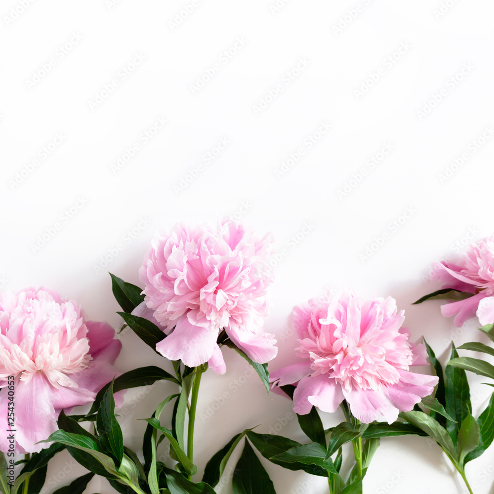 Border frame made of pink peonies on a white background