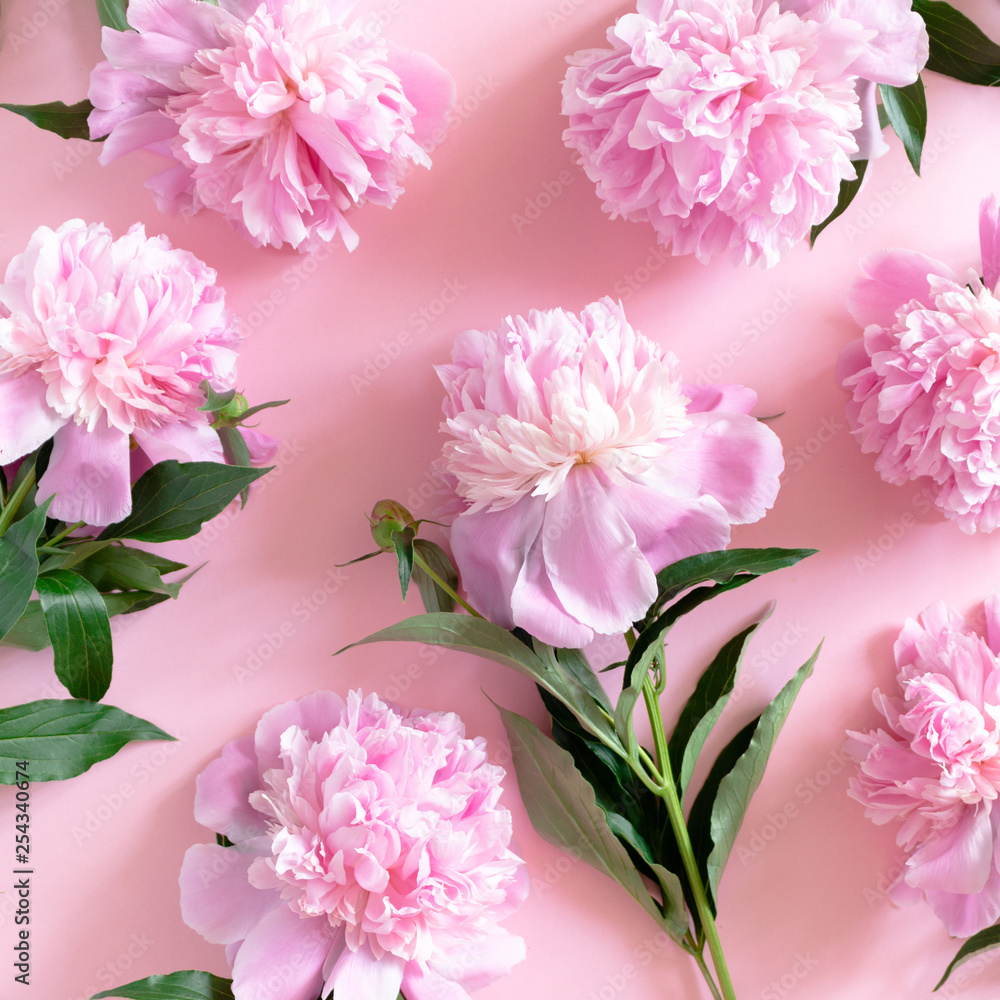 Peonies pattern on a pink pastel background