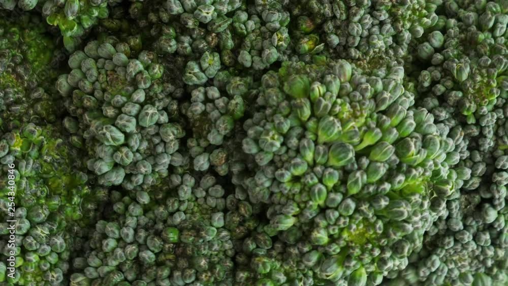 Fresh green broccoli rotate Fresh green broccoli rotate