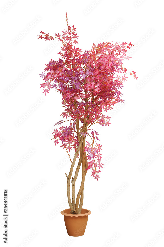 Fototapeta premium Artificial Japanese red maple branches tree