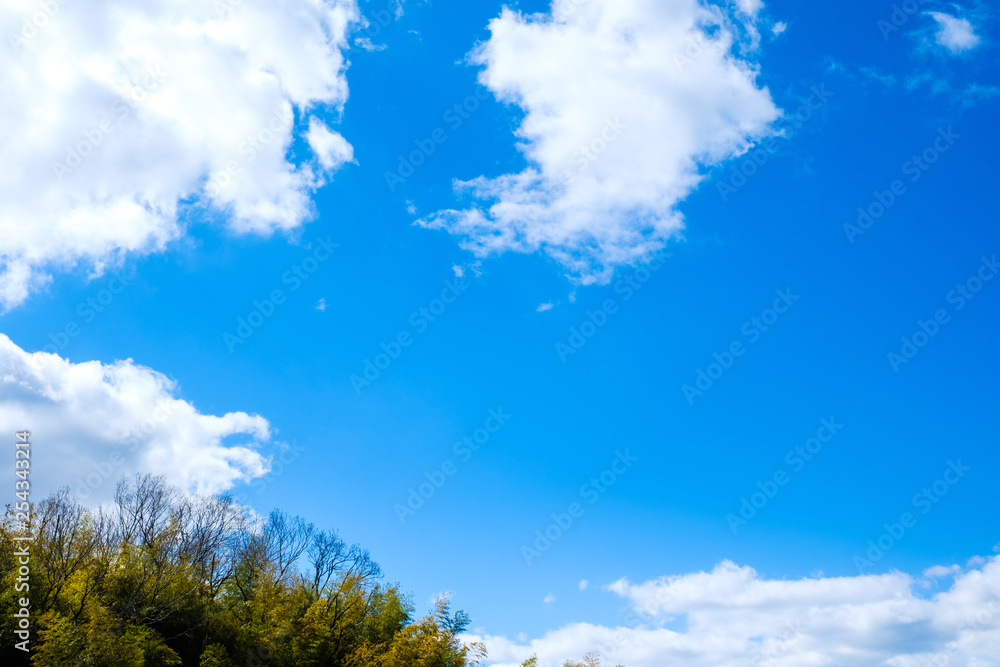 【写真素材】 青空　空　雲　冬の空　背景　背景素材　1月　コピースペース　山　森
