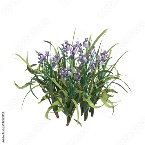 Plants 3d illustration isolated on the white background