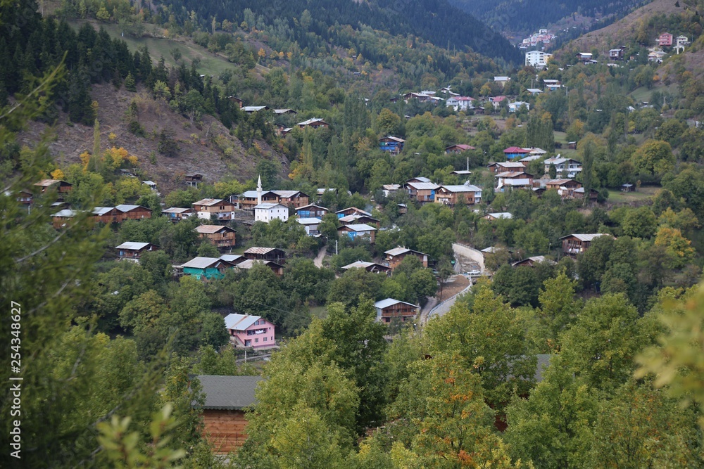 custom made wallpaper toronto digitalAutumn forest and village photos.savsat/artvin turkey 