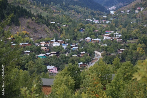 Wallpaper Mural Autumn forest and village photos.savsat/artvin turkey  Torontodigital.ca