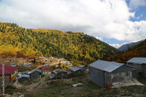 Autumn forest and village photos.savsat/artvin turkey 