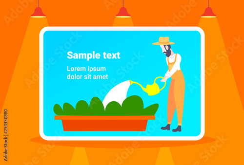 bearded gardener watering young plants in greenhouse organic farming concept male cartoon character full length flat horizontal copy space