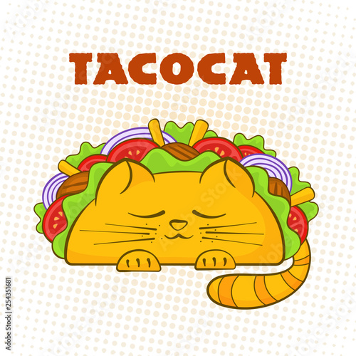 Taco cat sleeping character mexican fast food tacos symbol vector illustration. Cute cat mascot with tasty beef meat, salad and tomato in delicious taco with sign Tacocat for cafe design or promo