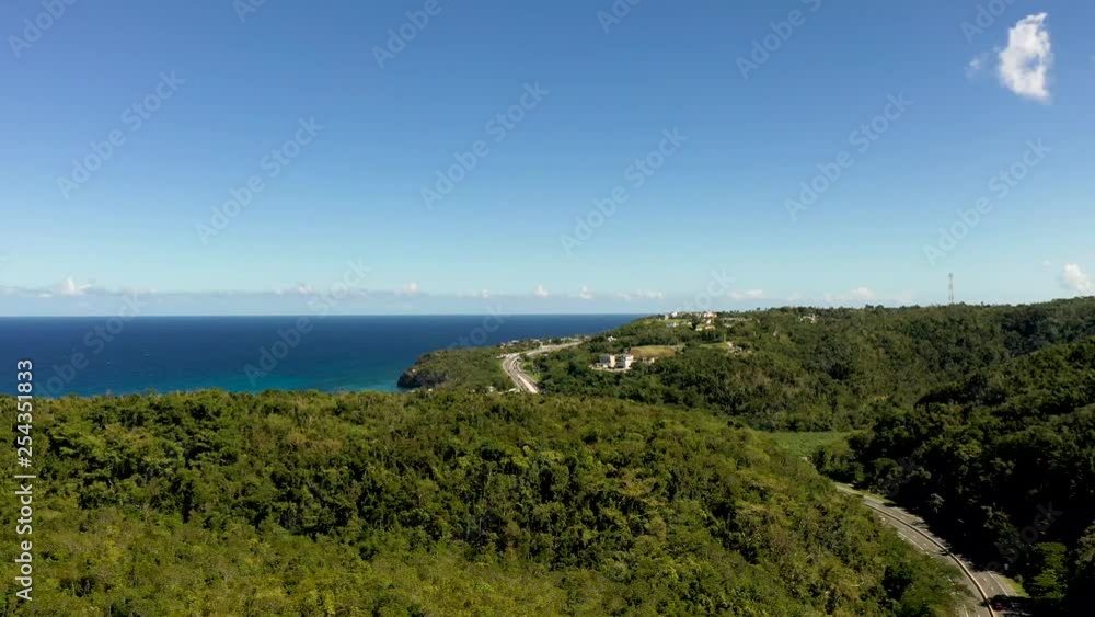 Beautiful aerial view of the Forrest by the coast Beautiful aerial view of the Forrest by the coast