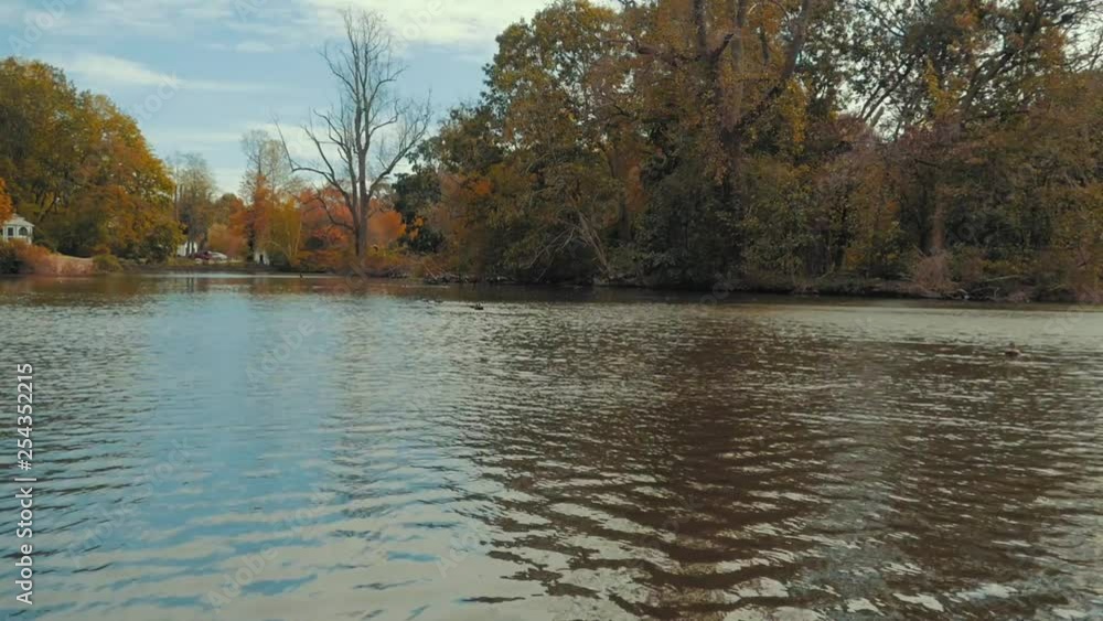 A fall day at the duck pond, by the water. A fall day at the duck pond, by the water.
