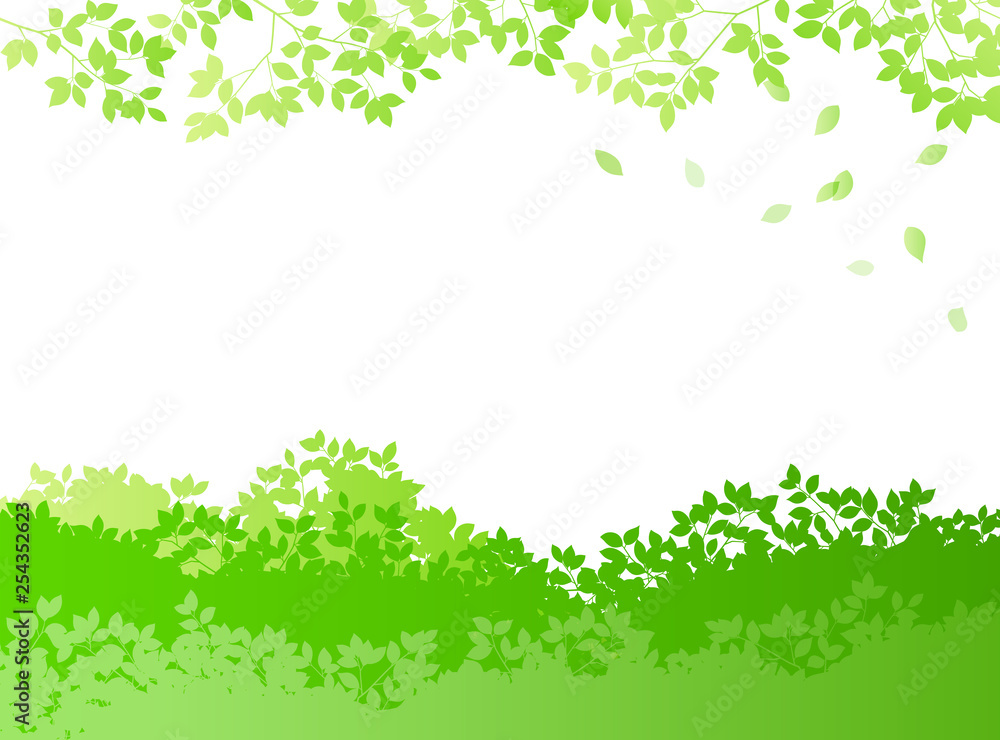 fresh green and sunbeams leaves background material fresh green and sunbeams leaves background material