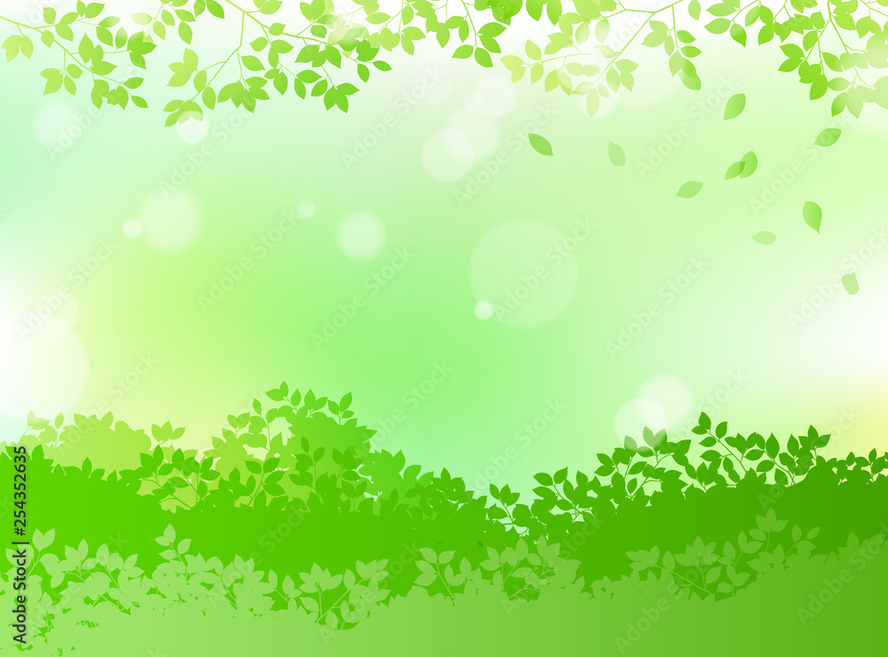 fresh green and sunbeams leaves background material fresh green and sunbeams leaves background material