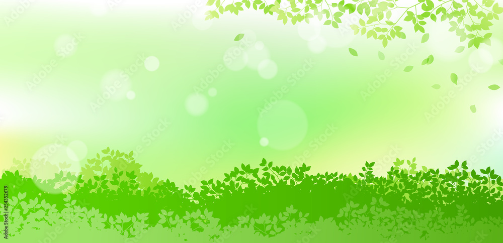 fresh green and sunbeams leaves background material fresh green and sunbeams leaves background material