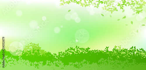 fresh green and sunbeams leaves background material