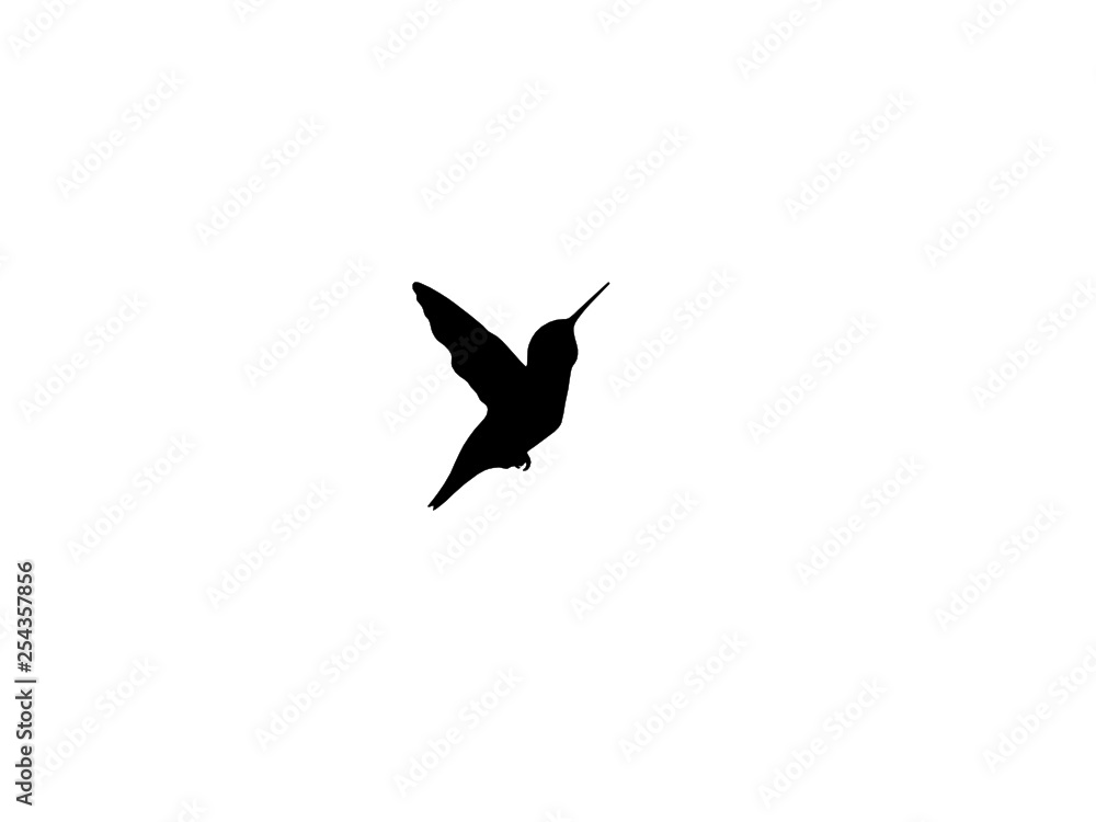 Hummingbird Vector Silhouette Hummingbird Vector Silhouette