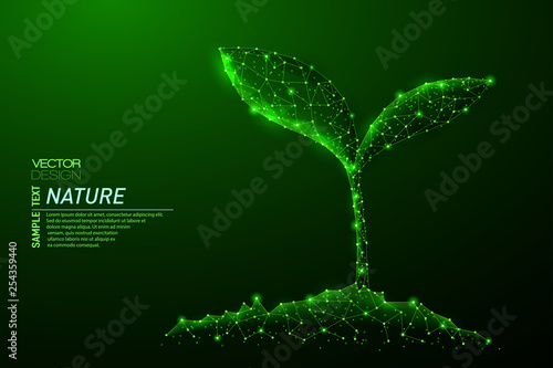 Abstract polygonal light of sprout from earth